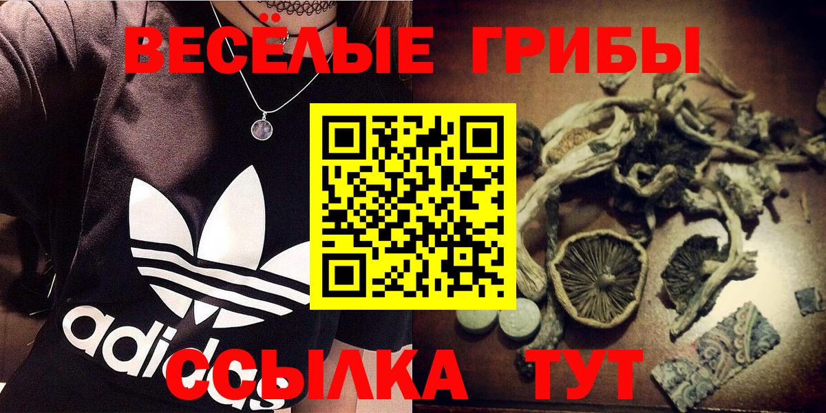 Йошкар-Ола  купить закладку  Вход с VPN  Галлюциногенные грибы MAGIC MUSHROOMS 