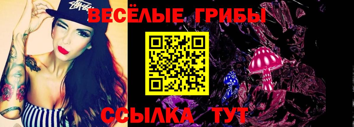 Псилоцибиновые грибы Cubensis Йошкар-Ола