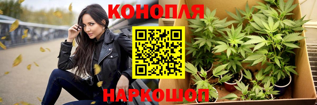 Конопля планчик  Канабис ГИДРОПОН  Марихуана SATIVA & INDICA  Вход с VPN  Каннабис AK-47  Йошкар-Ола 